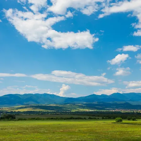 Chateau Copsa Complex