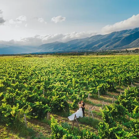 Hotel Chateau Copsa Complex Moskowec