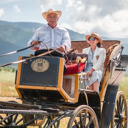 Chateau Copsa Complex Hotel 4*