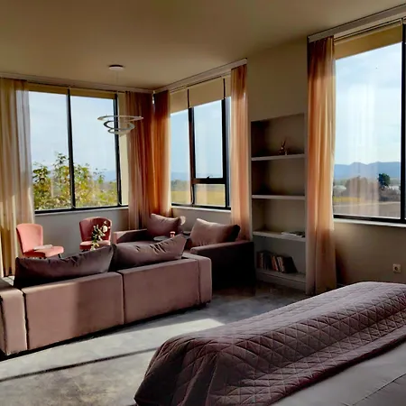 Hotel Chateau Copsa Complex