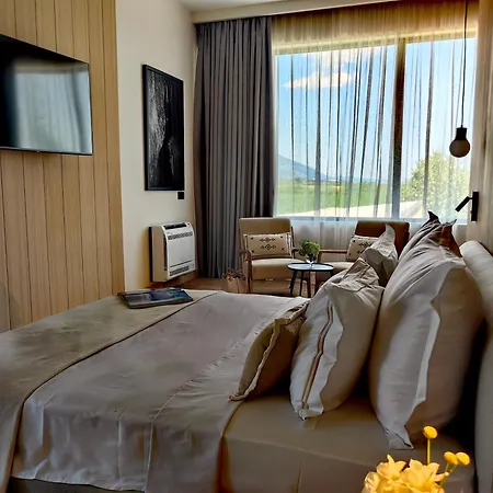 Chateau Copsa Complex Hotel