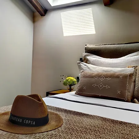 Hotel Chateau Copsa Complex