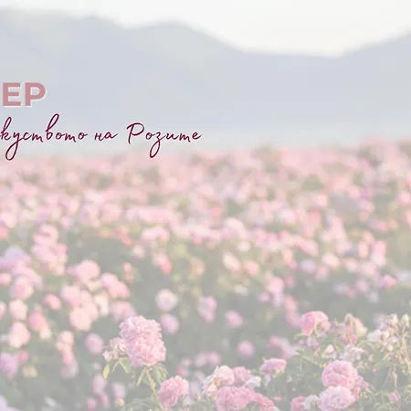 Chateau Copsa Complex 4* Moskowec