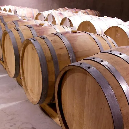 Chateau Copsa Complex Hotel