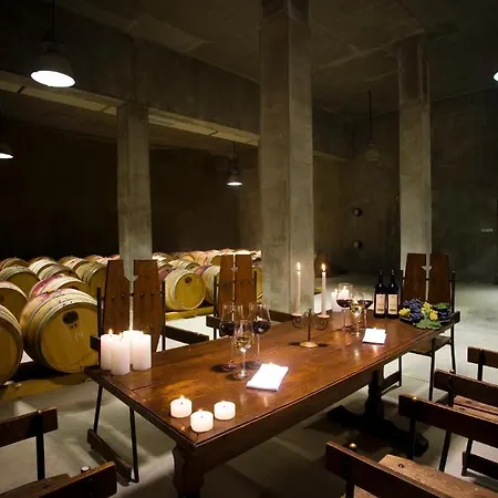 Chateau Copsa Complex 4* Moskowec