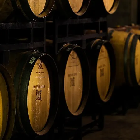 Hotel Chateau Copsa Complex Moskowec