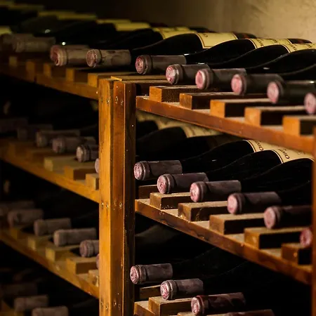 Chateau Copsa Complex 4* Moskovets