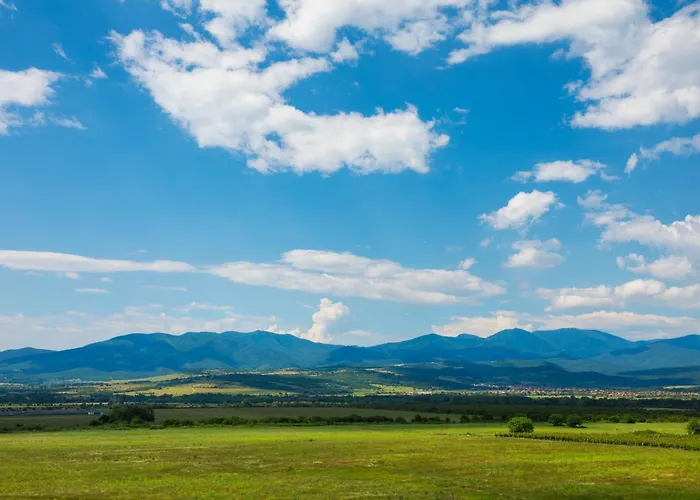 Chateau Copsa Complex