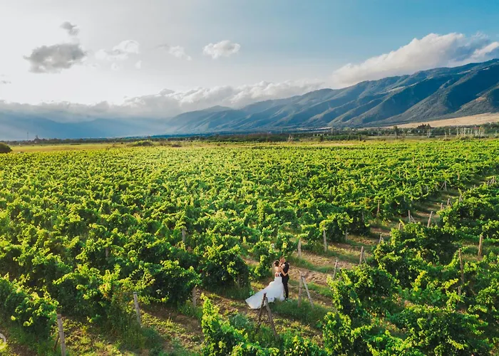 Hotel Chateau Copsa Complex Moskovets