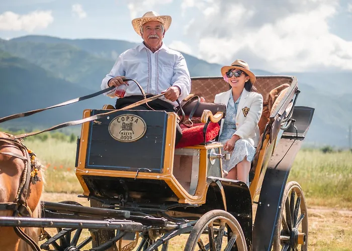 Chateau Copsa Complex Hotel 4*