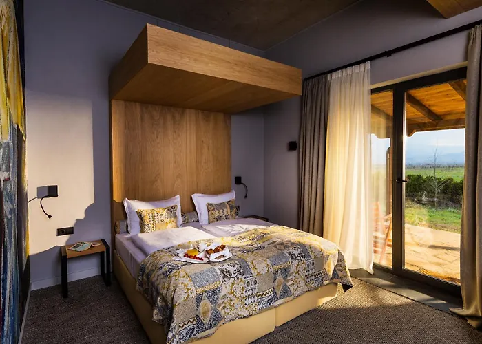 Chateau Copsa Complex