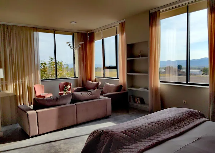 Hotel Chateau Copsa Complex