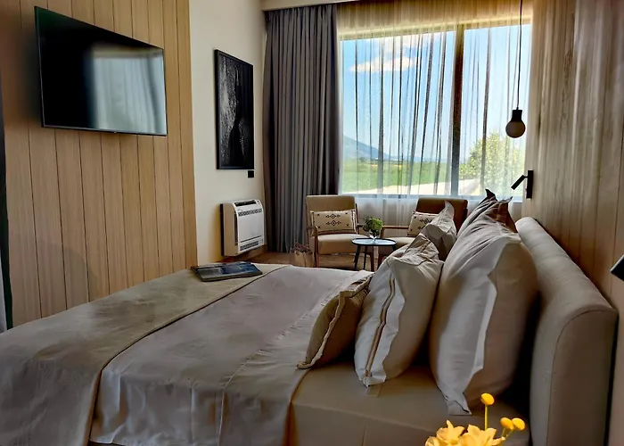 Chateau Copsa Complex Hotel