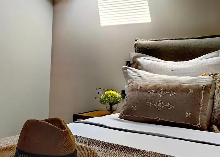 Hotel Chateau Copsa Complex