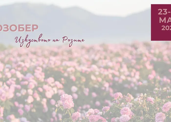 Chateau Copsa Complex 4* Moskovets