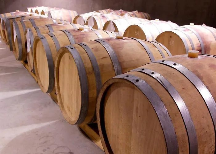 Chateau Copsa Complex Hotel