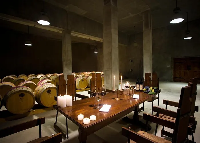 Chateau Copsa Complex 4* Moskovets