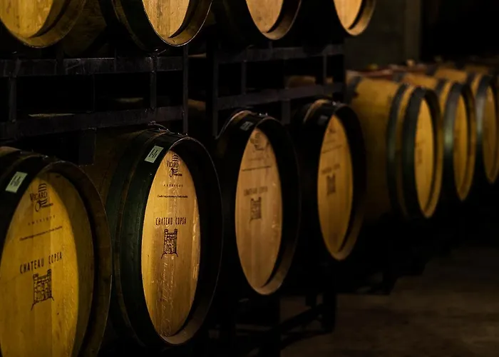 Hotel Chateau Copsa Complex Moskovets