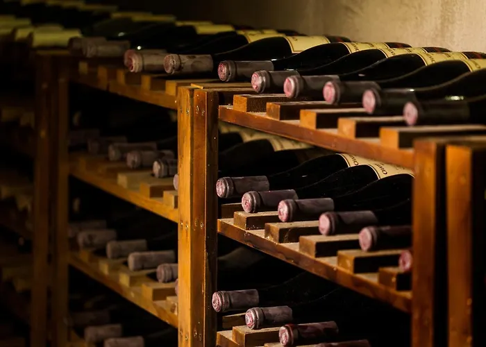 Chateau Copsa Complex 4* Moskovets